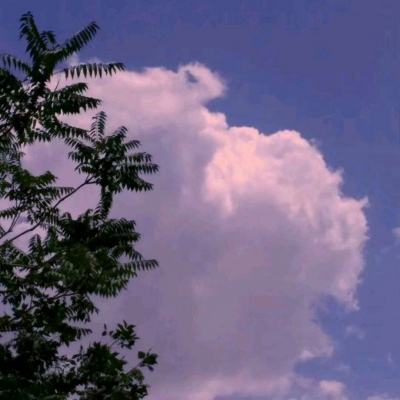 塔防三国志变态版下载